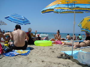 Sexy-Topless-Brunette-On-The-Beach-Voyeur-HQ-Pics-m1kq763r6i.jpg
